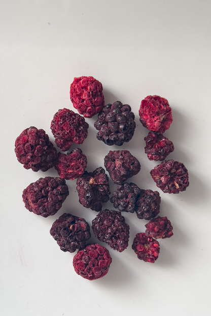 Dondurularak Kurutulmuş Böğürtlen 15g | Kurutulmuş Meyve  Freeze Dry | Freezya